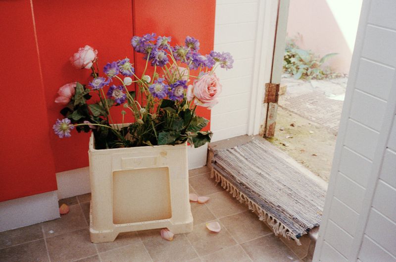 White plastic crate holding pink and purple flowers next to a red wall and a doorway with a woven mat on the floor