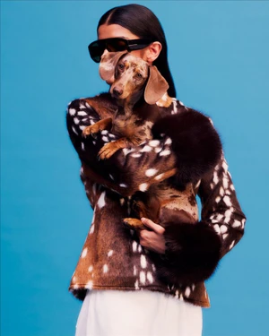 Model wearing dark sunglasses and a patterned jacket holding a dachshund against a bright blue background