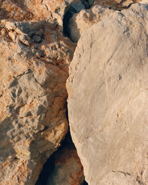 Homme Plissé Issey Miyake AW 25/26 Campaign