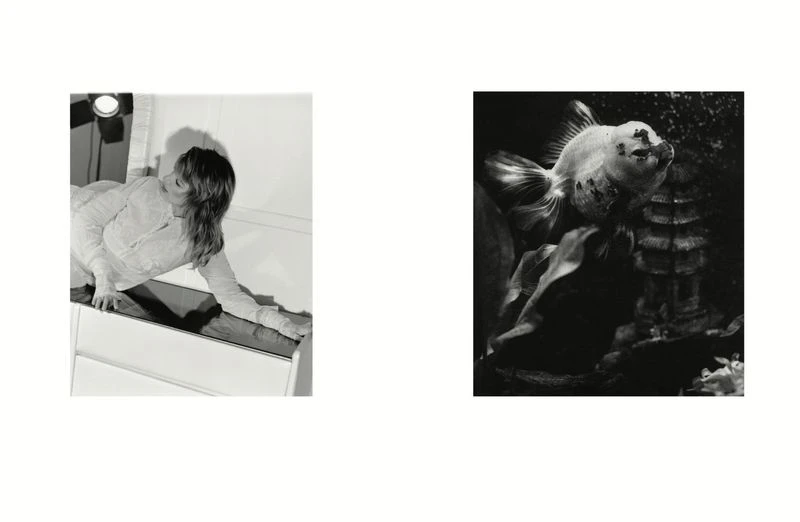 Closer Danielle Neu | In discussion ...