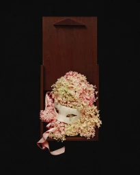 White mask nestled in pink and green hydrangea flowers inside a dark wooden box against a solid black background