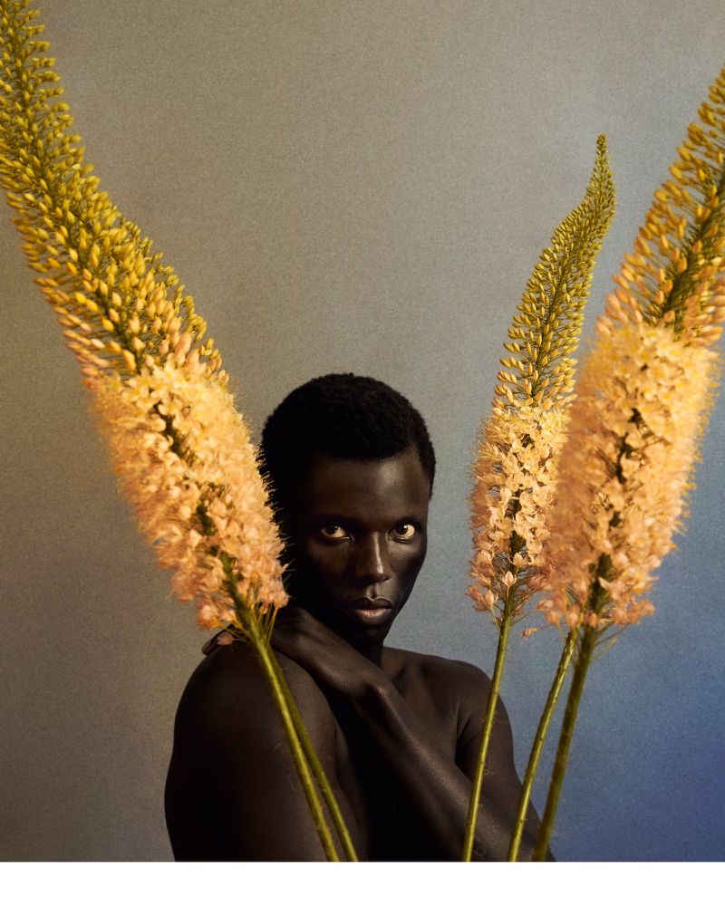 Close-up portrait of a Black man posing among tall yellow flowering stems against a textured grey background.