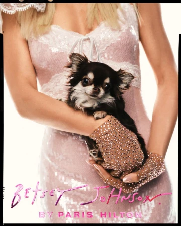 Paris Hilton holding a small black and white Chihuahua while wearing a pink sequin dress and rhinestone gloves.