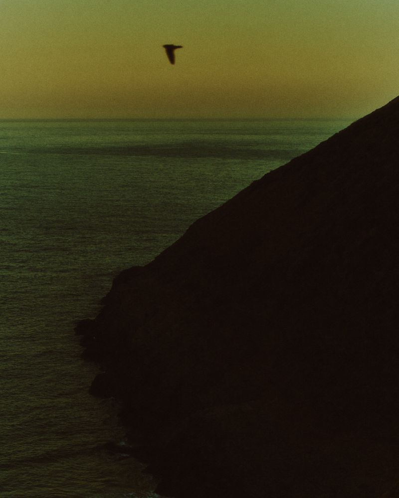 A bird flies above a dark coastal cliff overlooking the sea during sunset with a yellow sky.