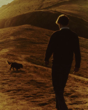 Man walking with a dog on a grassy hillside under warm golden hour lighting photographed by Max Miechowski