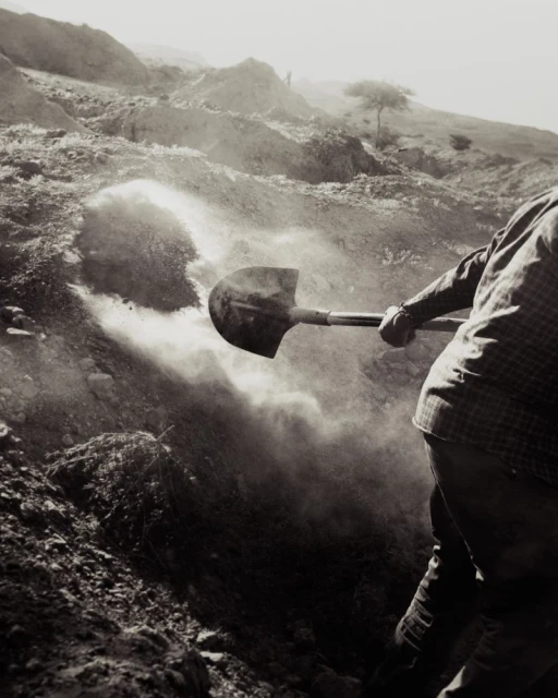 In an Economy Built on Fossils, Who ...