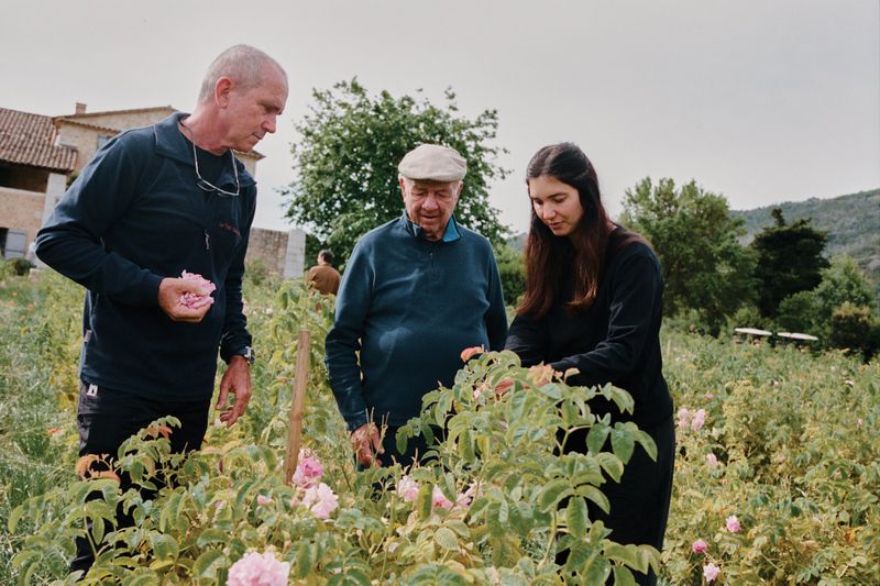 Three people inspecting rose plants in a field with buildings visible in the background under daylight.