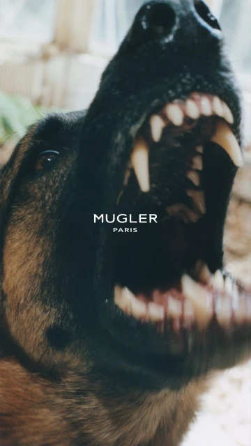 Mugler F/W 26 Campaign
