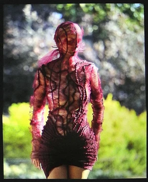Model standing outdoors wearing a sheer magenta draped dress covering the head and face against a blurred green park background.