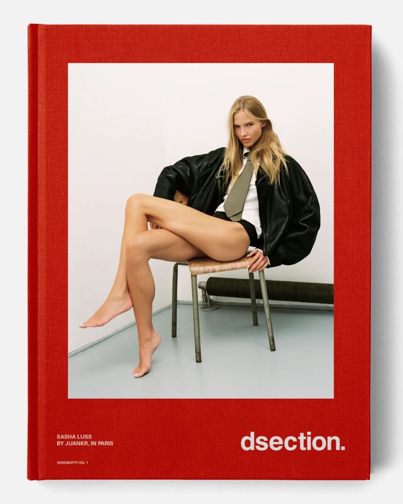 Fashion book cover featuring a blonde model in black jacket and tie, seated on a stool against a white background, framed by a red border.