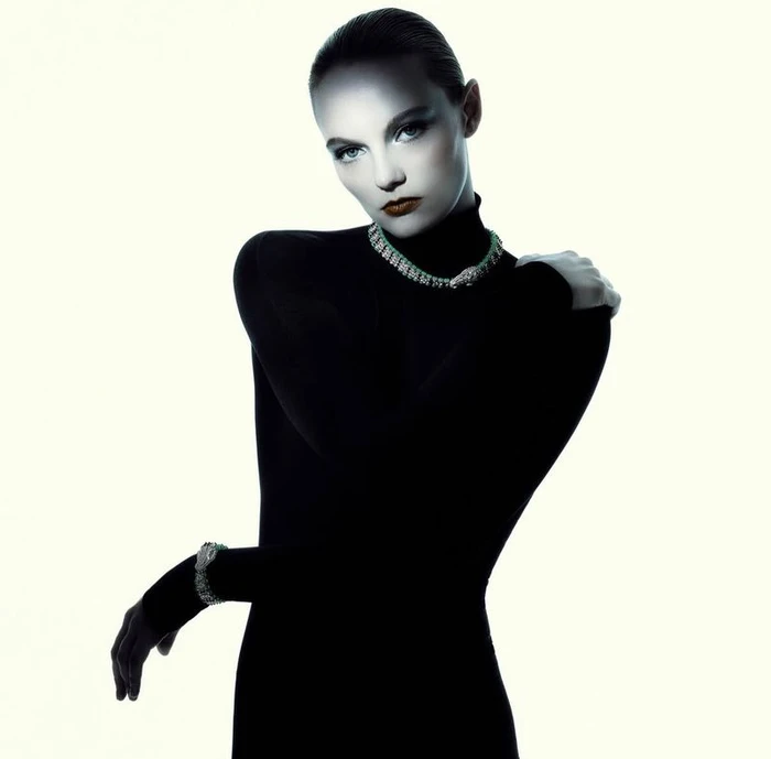 Model Fran Summers wearing a black turtleneck and diamond jewelry against a plain bright background