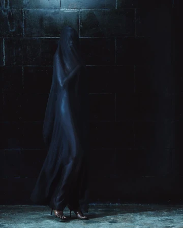 A veiled figure in a dark flowing gown standing against a dark brick wall in moody lighting.