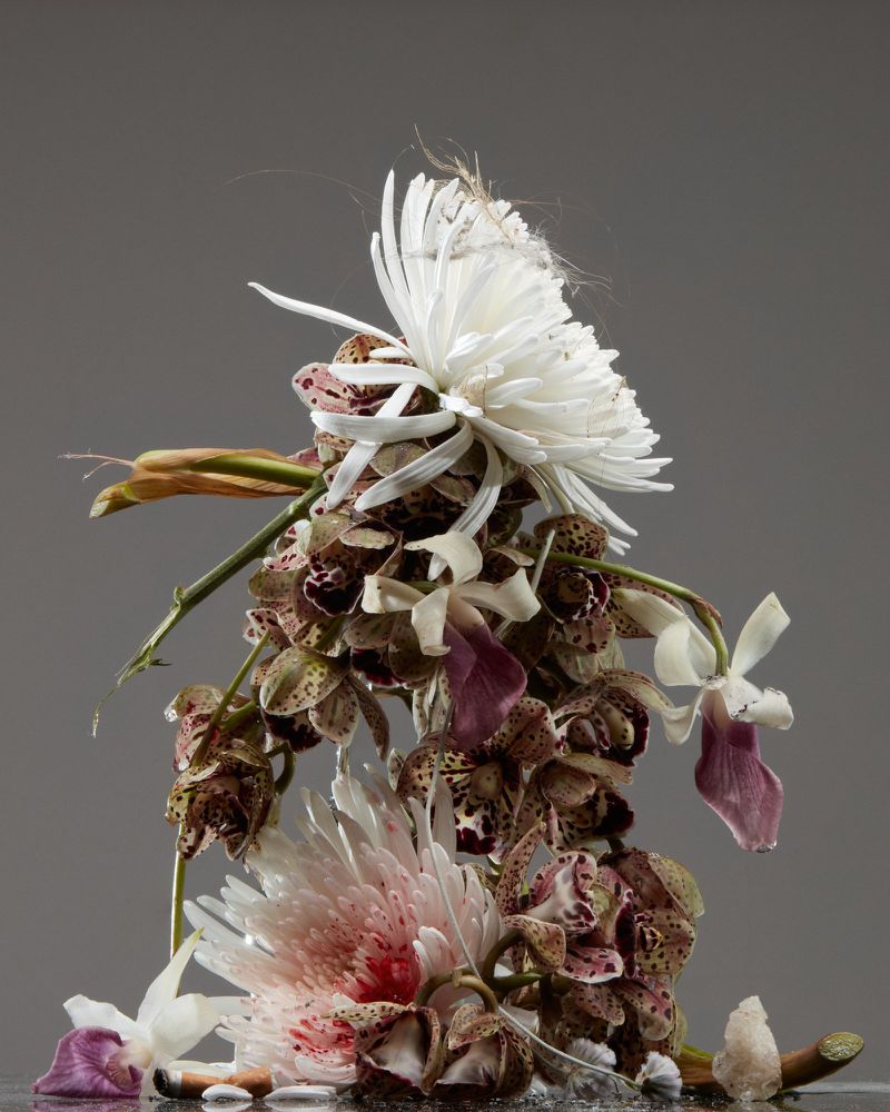 Still life photography of floral arrangement with white chrysanthemums, orchids, and twigs against gray background, showcasing floral artistry.