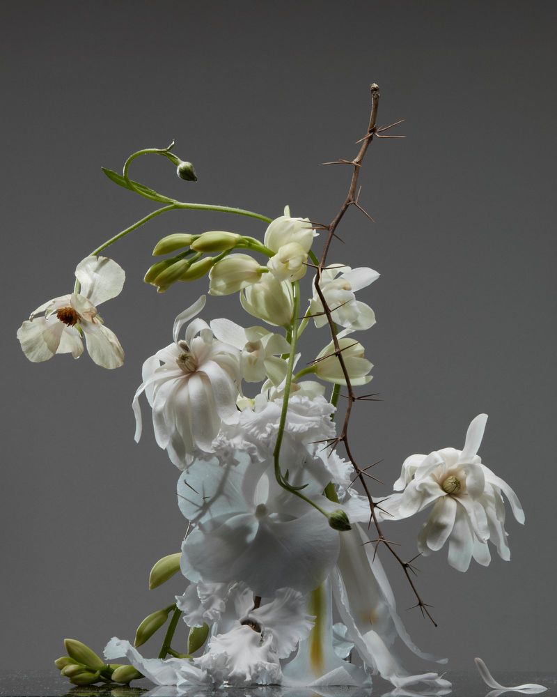 Elegant still life captures the ethereal beauty of white flowers and a thorny stem against a soft grey background, highlighting delicate textures.