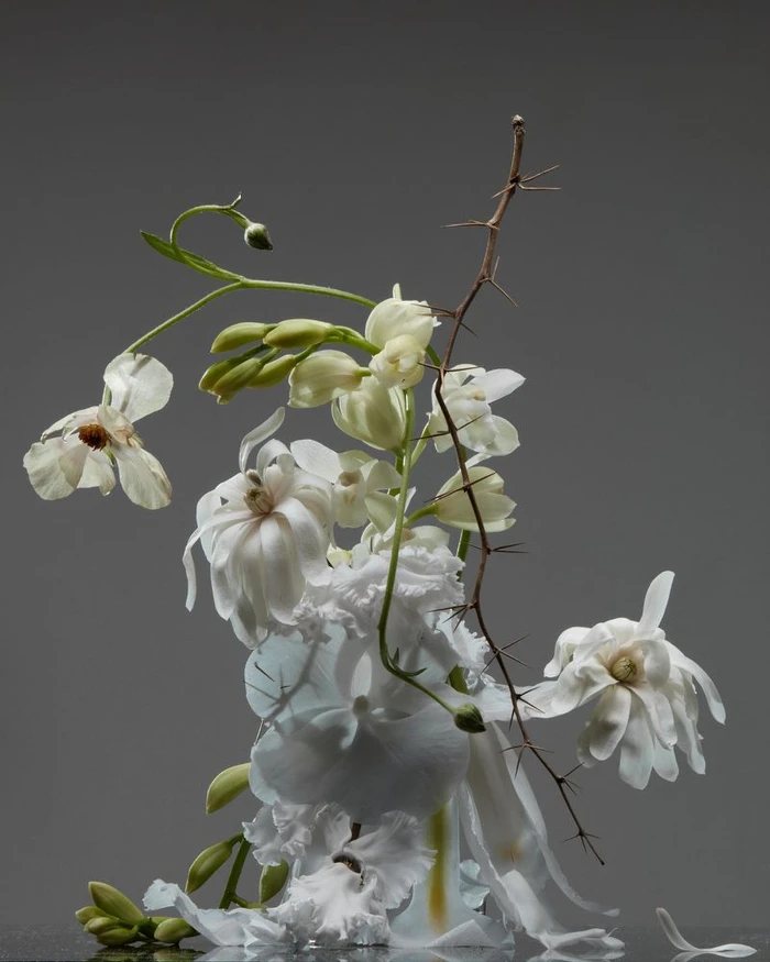 Close-up floral arrangement of white orchids and thorny branches against a neutral grey background