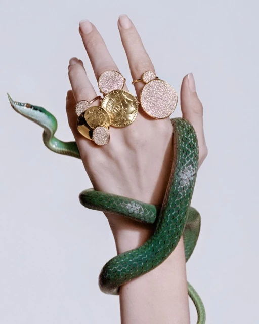 Ippolita Campaign