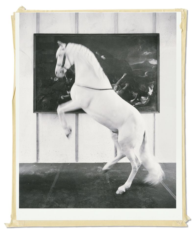 Black and white photograph of a white horse rearing up in an indoor space with a dark framed painting on the wall behind it.