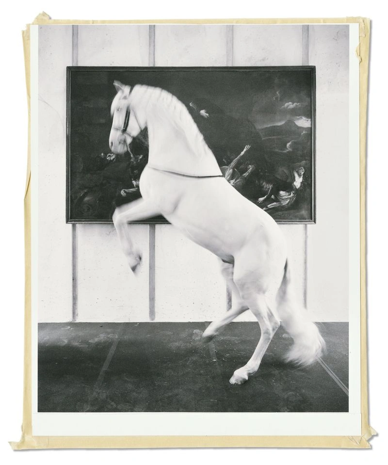 Black and white photograph of a white horse rearing up in an indoor space with a dark framed painting on the wall behind it.