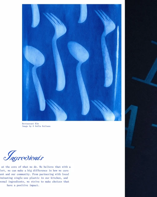 Brand Identity