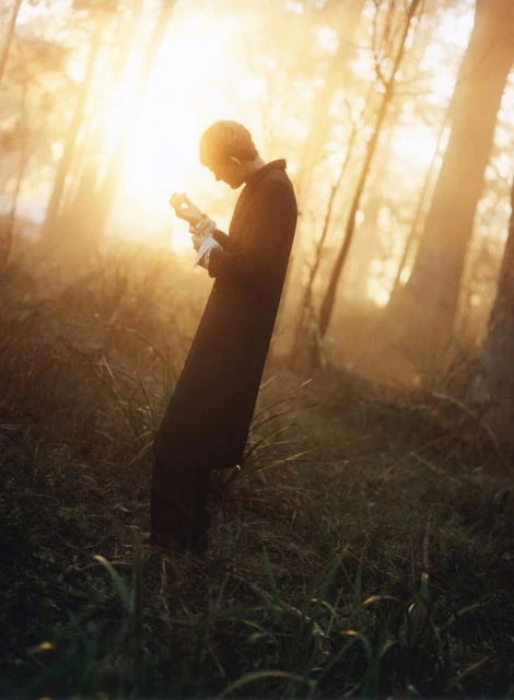 Deeper and Deeper into the Woods
