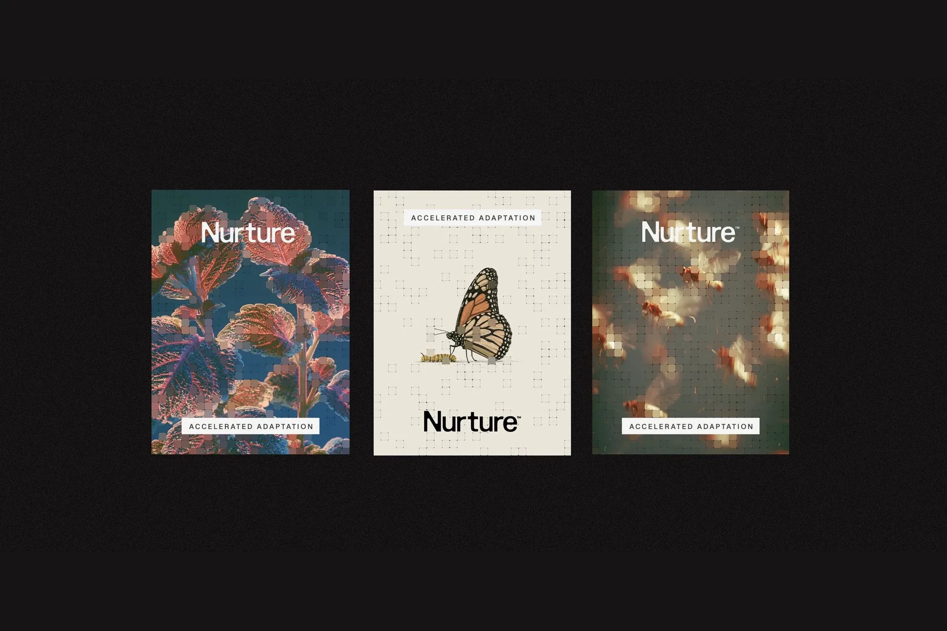 Three distinct book covers for brand identity Nurture featuring pixelated botanical imagery and a butterfly illustration against a dark textured background