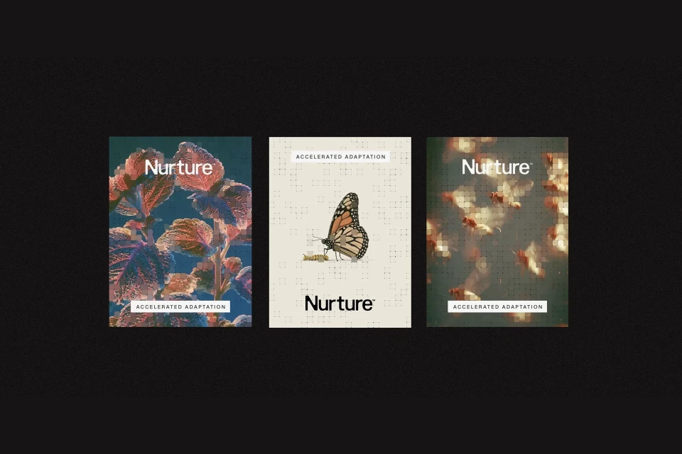 Brand Identity