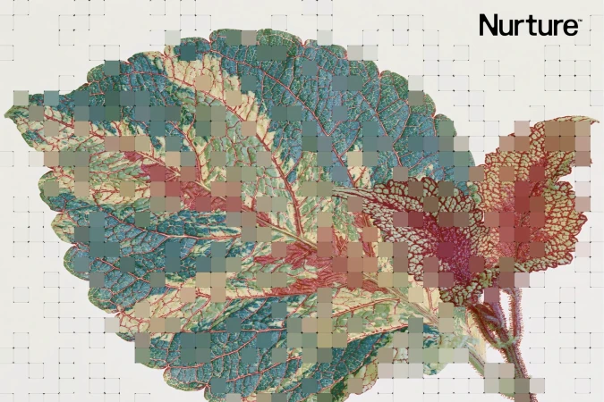 Close-up of a variegated leaf overlaid with a pixelated digital grid pattern against a cream background with Nurture branding
