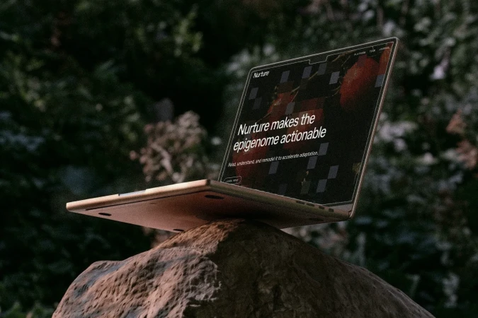 A laptop displaying the Nurture brand website resting on a rough stone surface outdoors with dark foliage behind.