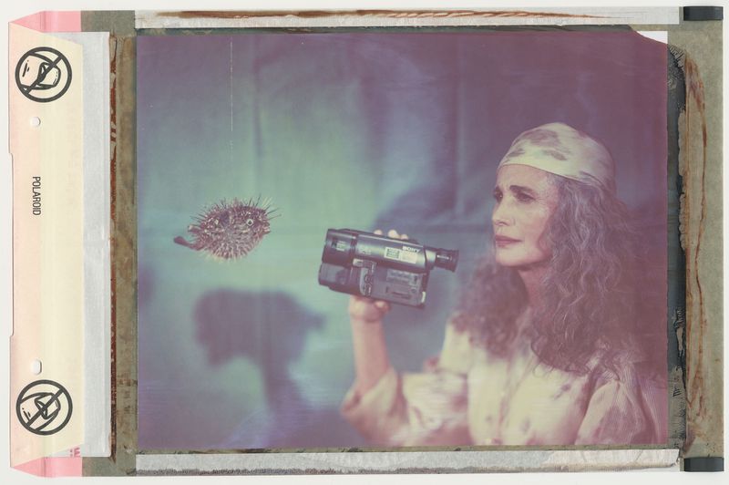 Andie MacDowell holding a video camera while looking at a floating pufferfish inside a polaroid frame