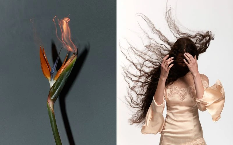 ELEMENTS