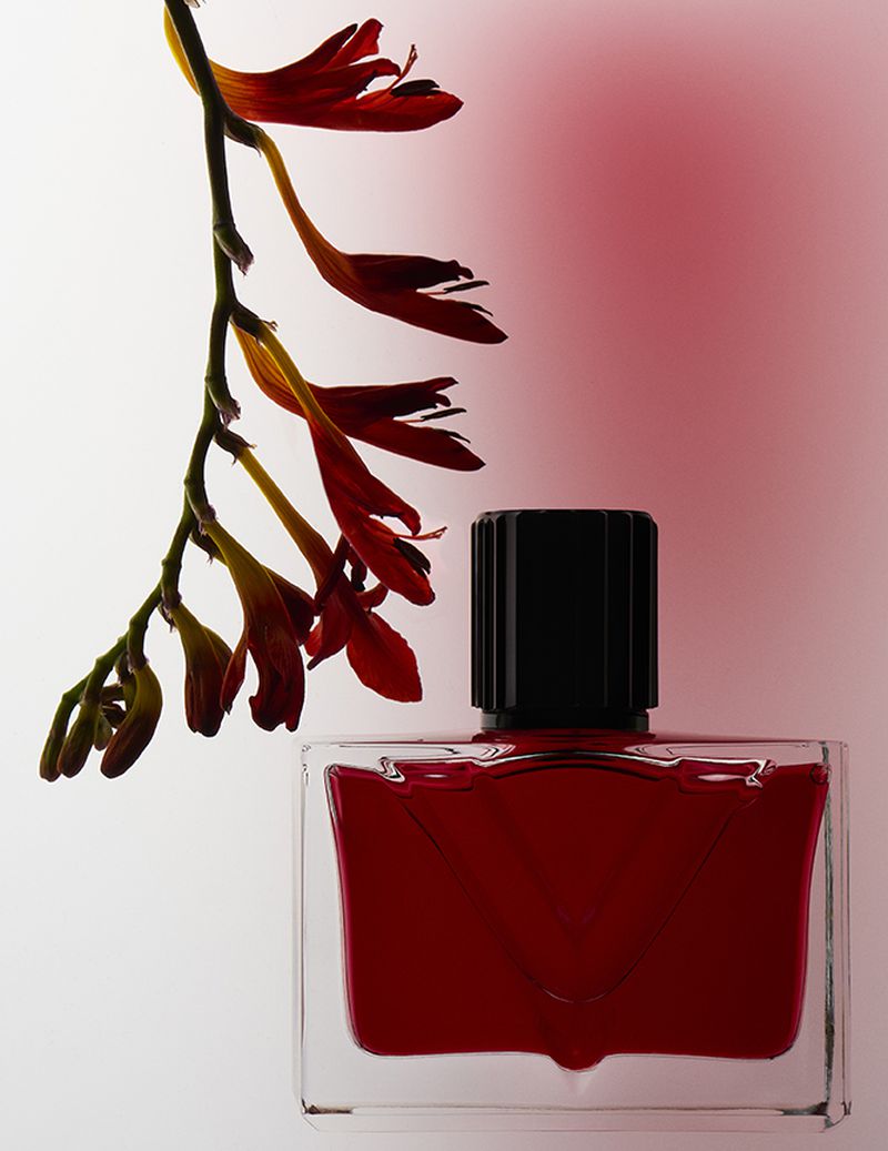 A rectangular glass perfume bottle with red liquid and a black cap positioned beneath a hanging stem of red flowers.