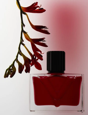 A rectangular glass perfume bottle with red liquid and a black cap positioned beneath a hanging stem of red flowers.