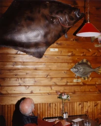 Elderly man seated at a table looking up at large taxidermy fish mounted on a wooden paneled wall for Ray's Waterfront.