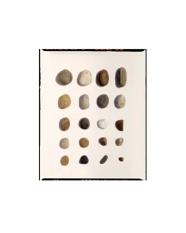 An overhead arrangement of assorted natural rocks and pebbles neatly organized in rows on a plain white surface.