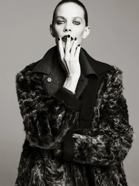The Model Issue