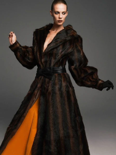 The Model Issue