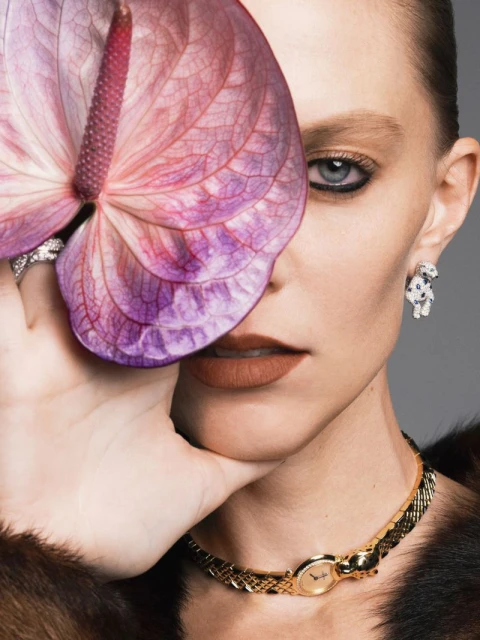 The Model Issue