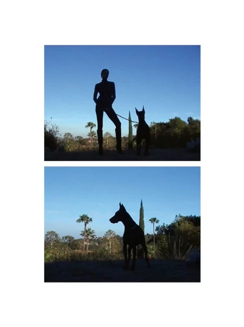 Two-panel fashion photograph of a silhouetted figure and a Doberman against an outdoor landscape with palm trees and clear blue sky