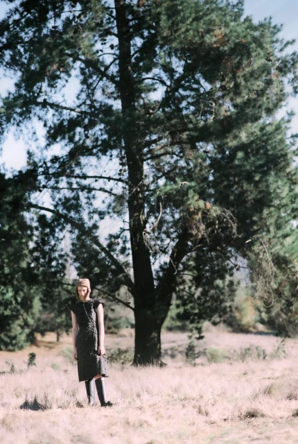 FOREST MEMORIES
