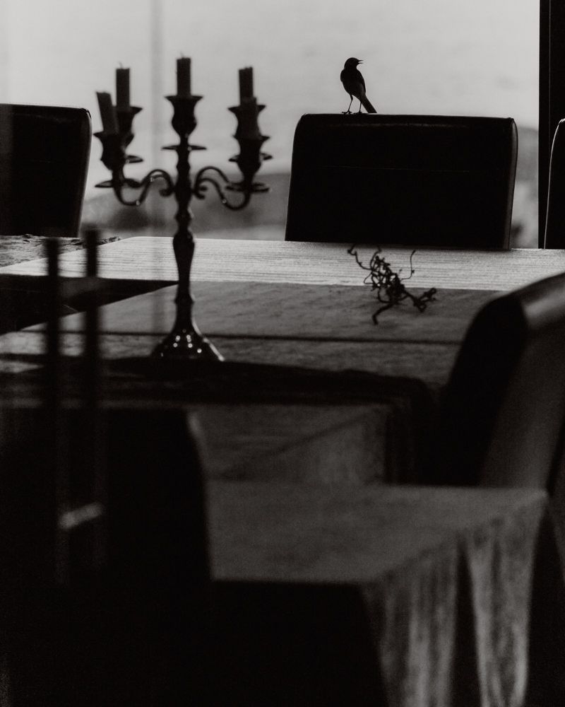 A small bird perched on a chair back next to an ornate metal candelabra on a dining table, captured in a monochrome interior scene.