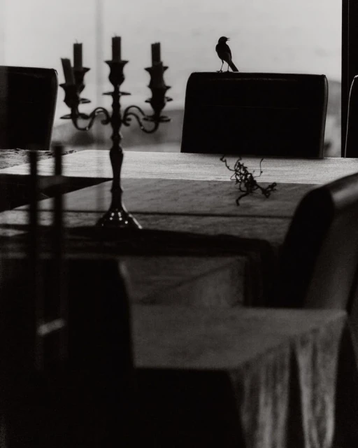 A small bird perched on a chair back next to an ornate metal candelabra on a dining table, captured in a monochrome interior scene.