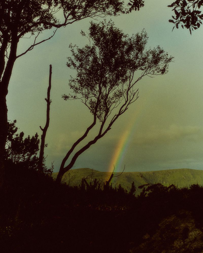 Faint rainbow stretching behind dark silhouetted trees and hills under an overcast sky captured by Max Miechowski