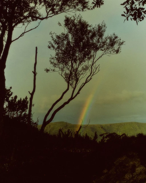Faint rainbow stretching behind dark silhouetted trees and hills under an overcast sky captured by Max Miechowski