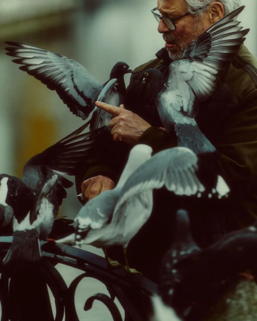 Elderly man interacting with multiple pigeons landing on his hands and arms outdoors