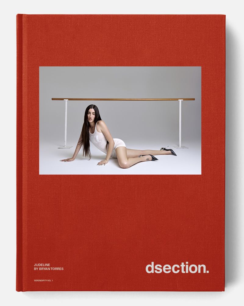 Book cover features a woman in lingerie posing near a ballet barre in a studio, displayed on an orange book titled 'dsection'.