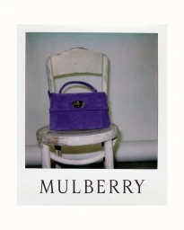 Purple suede handbag resting on a distressed white wooden chair inside a studio with white border frame