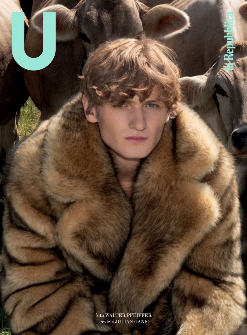 Editorial fashion photograph of a fair-skinned young male model wearing a large fur coat, posed in a field surrounded by cows.