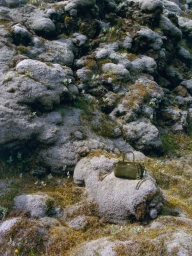 Green leather handbag resting on moss-covered volcanic rock landscape for Terra Mode editorial by Numero Netherlands