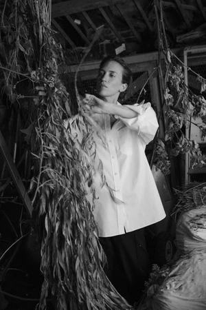 Model wearing a white button-down shirt handling dried plants inside an agricultural shed for the Selected Handvaerk campaign.