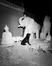 Black dog sitting on rubble surrounded by large white stone statues of an elephant and a man in a turban at night.